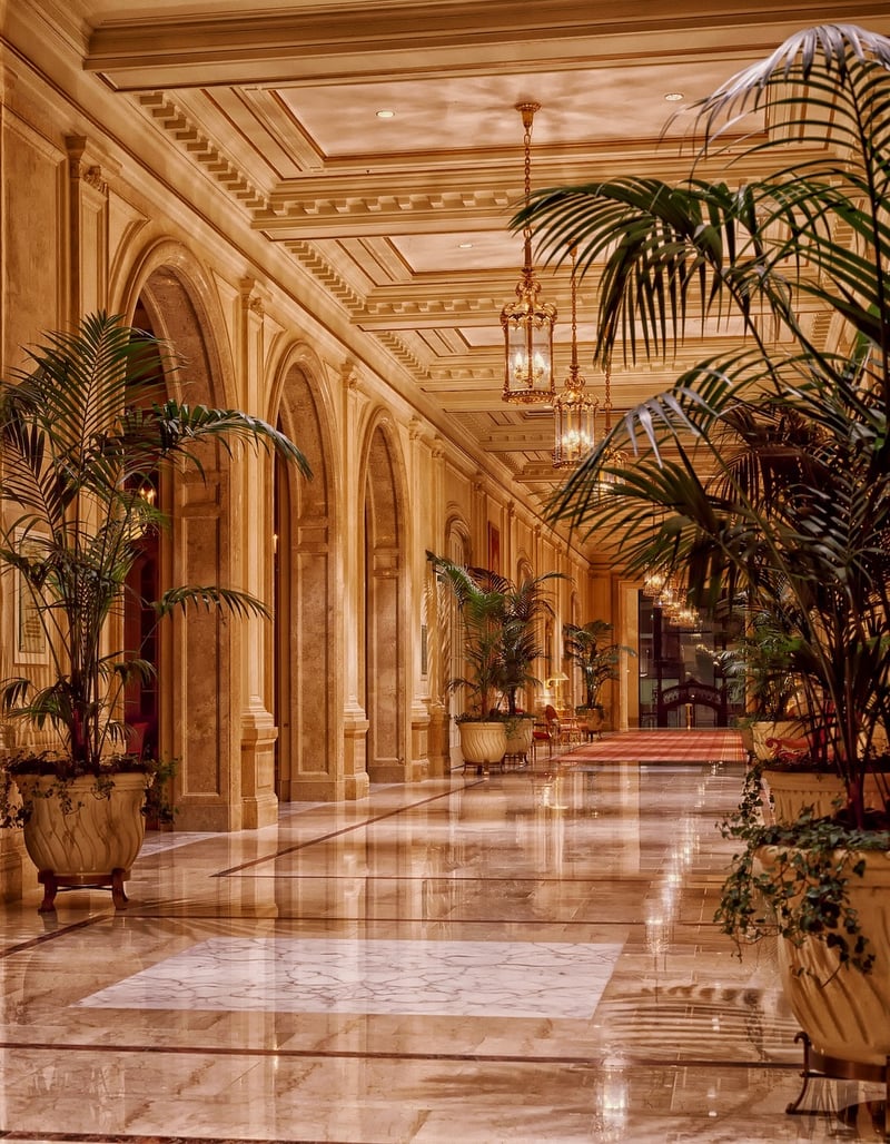 Luxurious Opulence