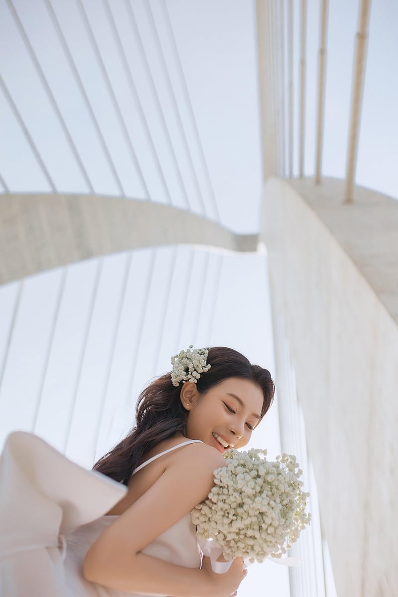 Modern Elegance Fabrics